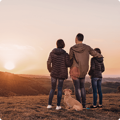 ファミリーカー・子育て